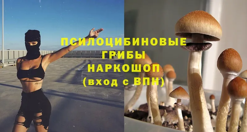 Псилоцибиновые грибы MAGIC MUSHROOMS  Подпорожье 